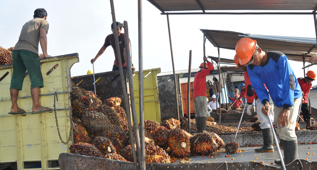 Malaysian plantation has been wracked  Labor Issues 