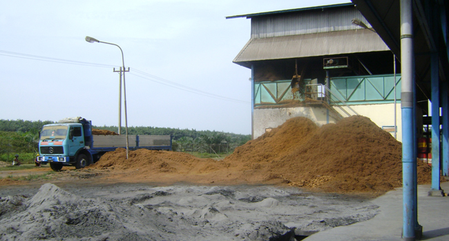 The Government Less Socialized the Regulation about Palm Oil Waste Advantages