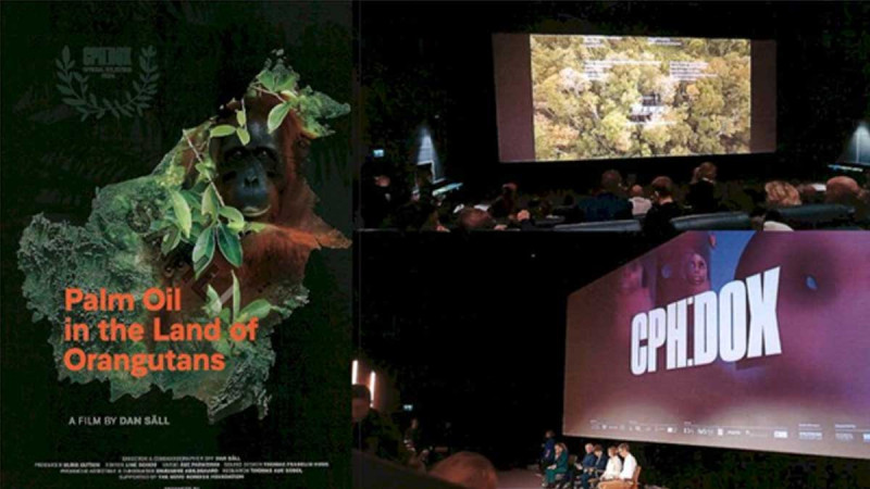 Palm Oil in The Land of Orangutans: A Documentary Film that Reverses Palm Oil Negative Perceptions