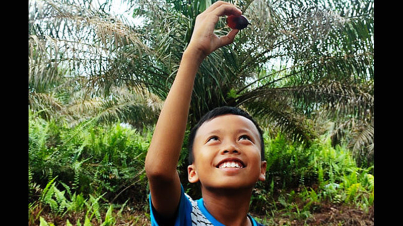 Community Focal Points Key to Tackling Child Labor in Sabah Plantations
