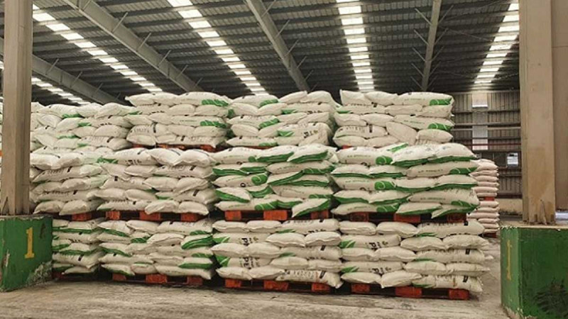 Urea vs ZA Fertilizer for Palm Oil: Key Differences Farmers Should Understand