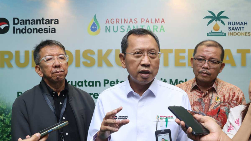 Agrinas Palma Pushes Faster Smallholder Replanting to Boost Palm Productivity