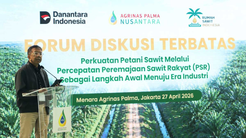 RSI Calls for Stronger Smallholder Institutions to Accelerate Palm Replanting Industrialization