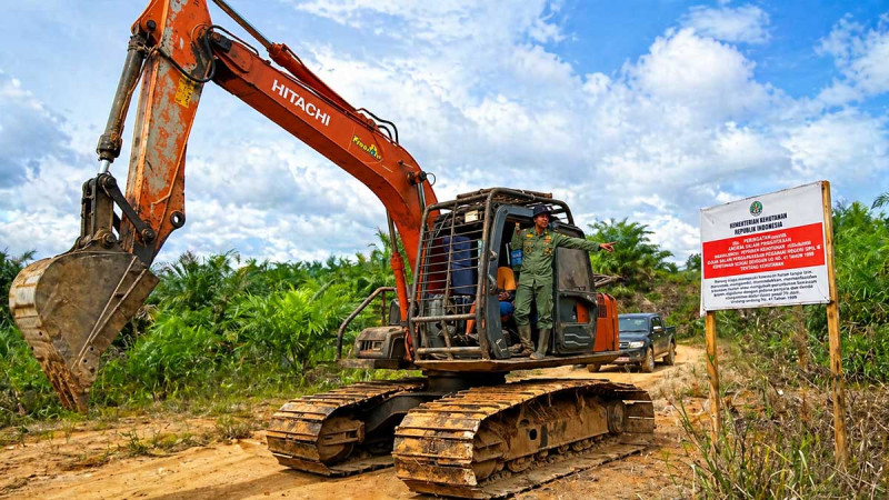 Forestry Investigators Name Suspect in Illegal 30-Hectare Palm Plantation Encroachment Case in Seblat Landscape