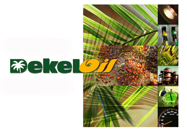 Dekel Oil Built 60 tons/hour POF in Ivory Coast