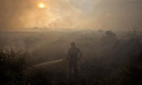 Preventing the Fire in the Forest and Area, REDD+ did Audit in the Field 