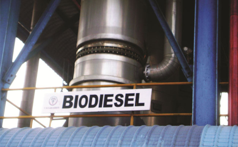 Getting Loss for about € 221 Million, Biodiesel from Indonesia Is Accused to Avoid Income Tax