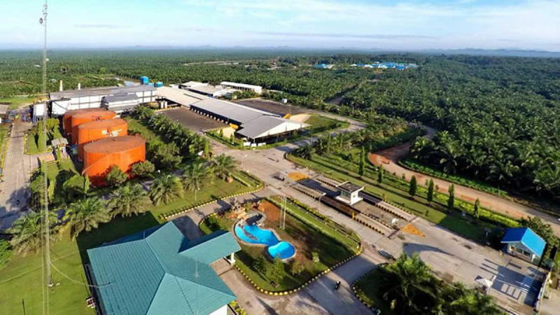 PT SSMS: Optimist to get Positive Performance in 2024