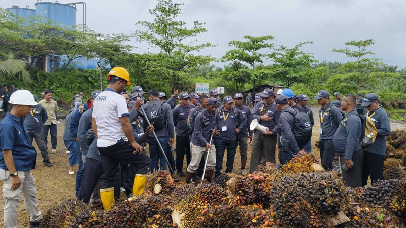 86 Acehnese Palm Oil Farmers Trained to Boost Yields