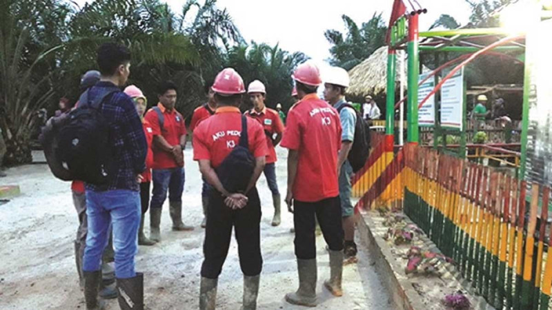 From Classroom to Palm Plantation: A Guide to Becoming a Top Planter