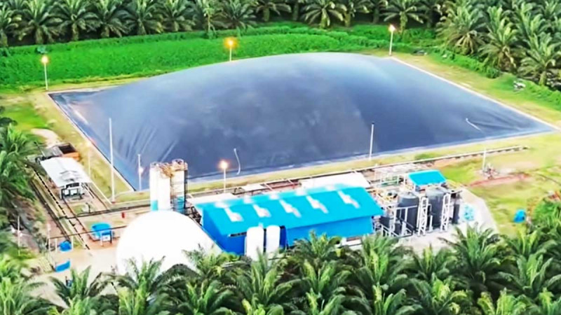 Unilever Converts Palm Waste to Clean Energy, Drives Sustainable Downstreaming