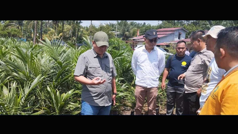 Ministry of Agriculture Ensures Quality of Superior Seeds for Rice and Palm Oil in West Kalimantan