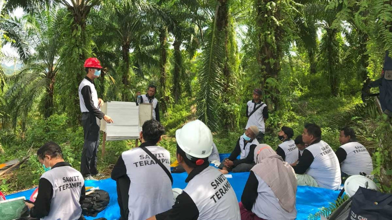 Building Trust, Cultivating Impact: The Story of a Sustainable Partnership at Sinar Mas Agribusiness and Food
