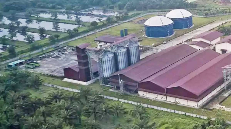 STAA Reports Stronger Revenue Despite Lower Palm Oil Production in First Half of 2026