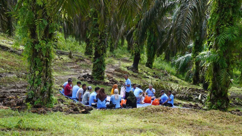 FORTASBI Calls for Faster STDB Issuance to Help Smallholders Access Sustainable Palm Oil Certification