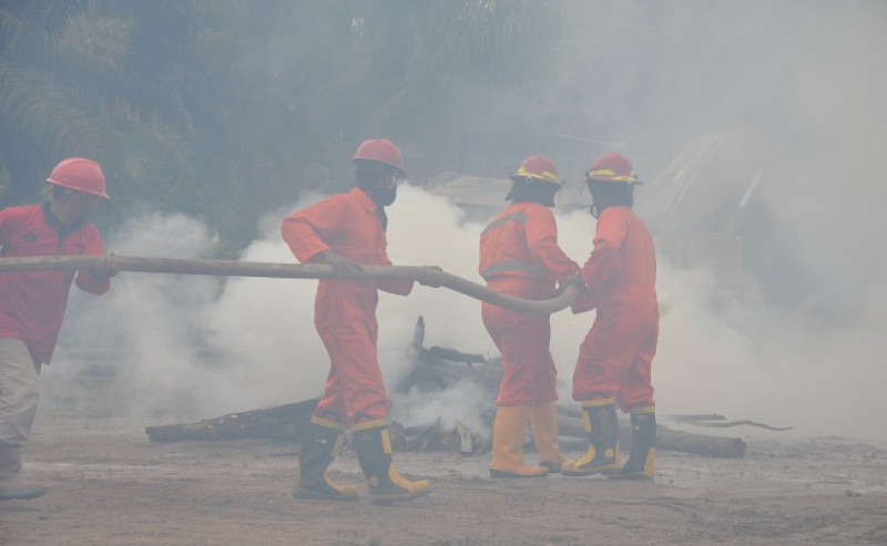 APHI and GAPKI Strengthen Fire Prevention Efforts Amid Dry Season Risks