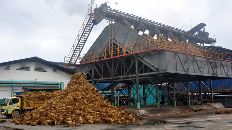 Oil Palm Empty Fruit Bunch Waste Shows Potential as Eco-Friendly Nanolignin Adsorbent for Lead Removal
