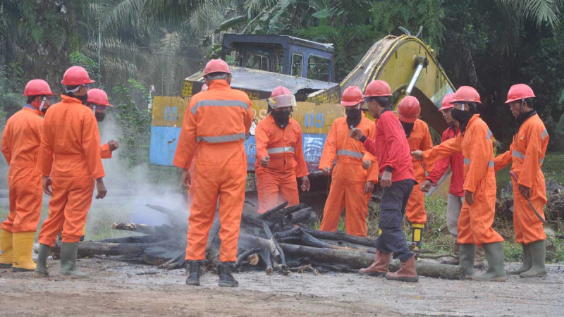 APHI and GAPKI Push for Joint Protocol to Speed Up Forest and Land Fire Response