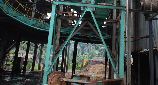 IB Expects Riau Government Increases Palm Oil Downstream Industry