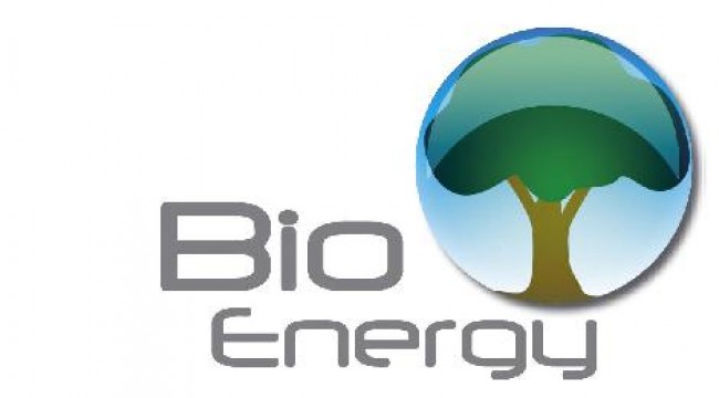 Indonesian and Finland Company Effort in Bioenergy Cooperation