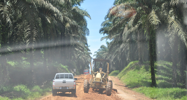 South Coast KSNP Ceases Deforestation for Palm Oil Mill Development