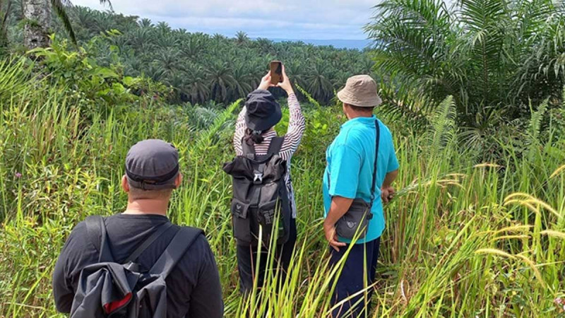 BPKP West Kalimantan Did Audit SRP Loss in KUD Sinar Mulia