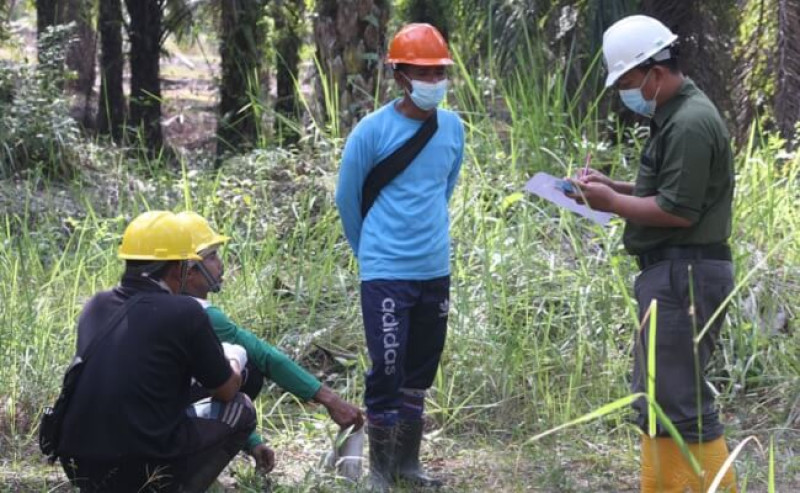 Need to Escalate Palm Oil HR Competence to Boost Productivity