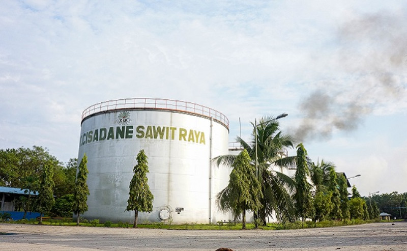 By the Late of This Year, Cisadane Sawit Raya Focuses on Efficient Cost and Sustainable Development