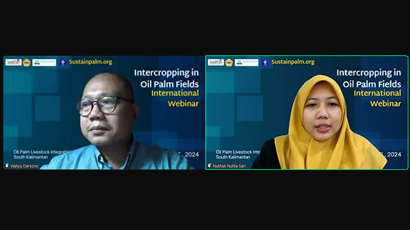 Integrating Cattle Farming into Oil Palm Plantations: A Sustainable Solution