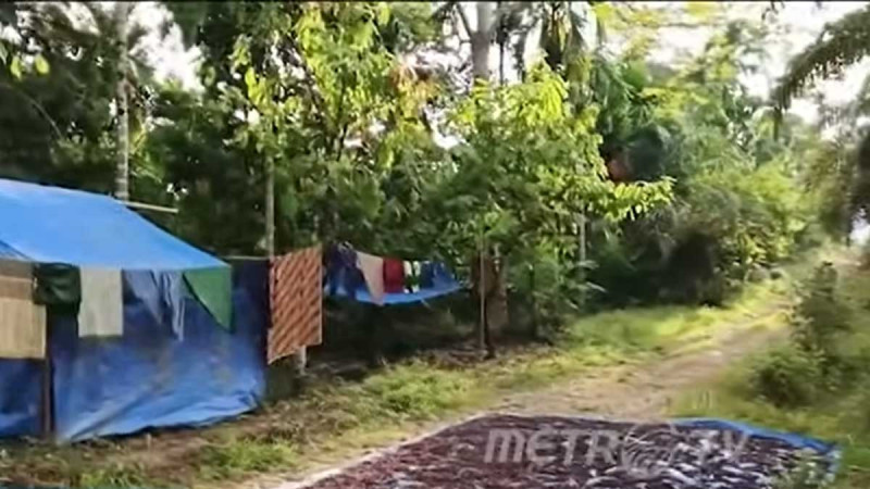 New Mother Survives in Makeshift Palm Oil Plantation Shelter After Home Destroyed by Flash Flood in North Aceh