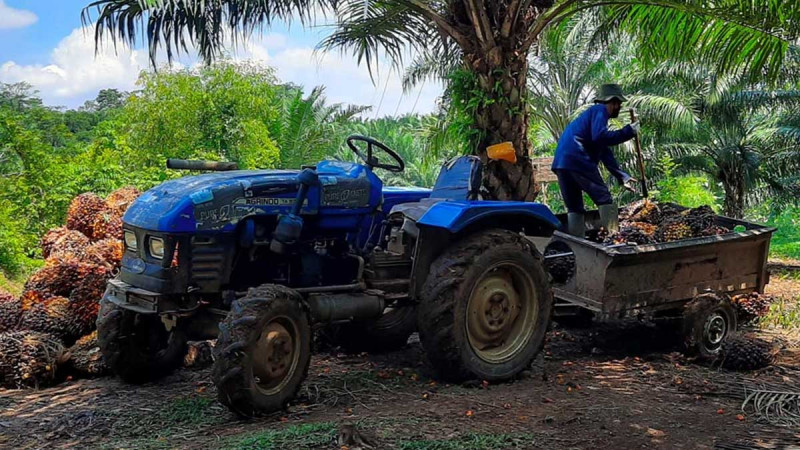 Choosing the Right Agricultural Tractor for Oil Palm Plantations
