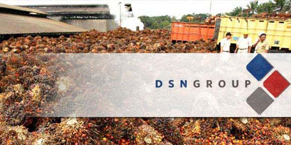 2014, CPO and Fruit Production of Dharma Satya Nusantara Increased