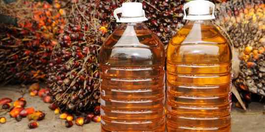 CPO Price Decreased 0,6%