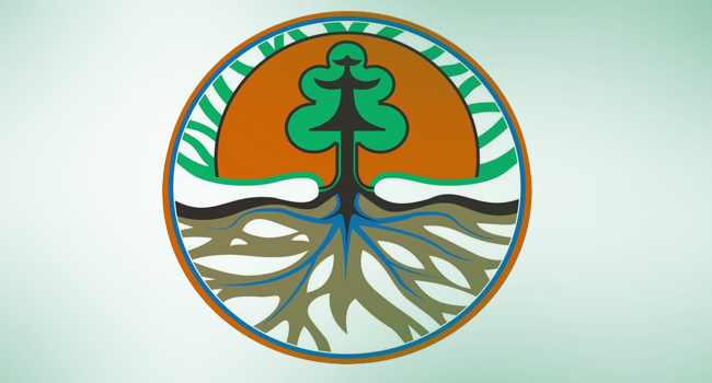 MEF Should Prioritize Forestry Programme