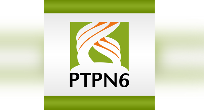 Palm Oil Replanting, Regent of Merangin Cooperates with PTPN VI 