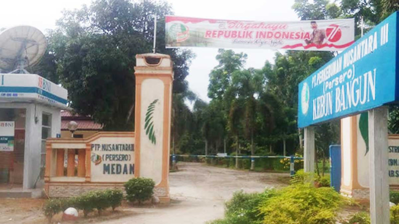 Palm Oil Plantation - Kebun Bangun Is Cultivated in ISPO and RSPO Standards