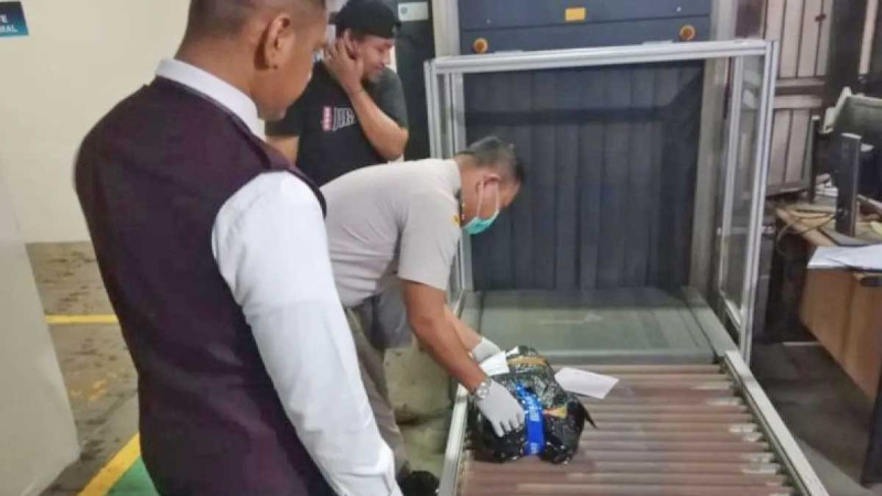 5,250 Illegal Palm Seeds Intercepted at Radin Inten II Airport, Lampung Quarantine Tightens Supervision