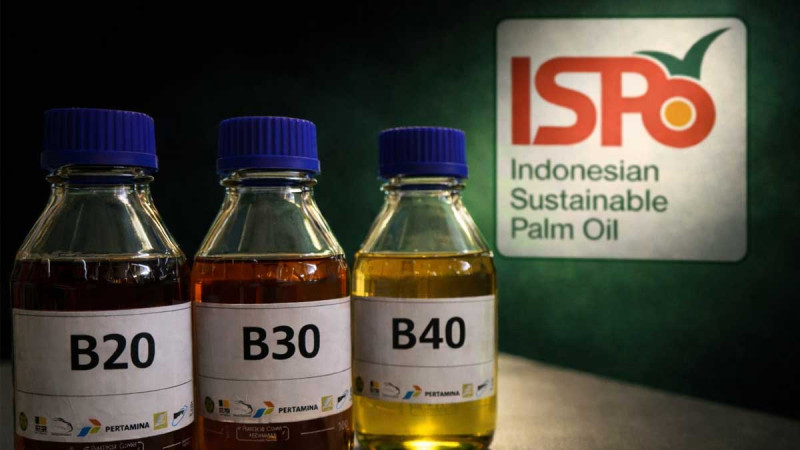 ESDM Issues Regulation No. 3/2026, ISPO Certification Mandatory for Palm Bioenergy Industry Staring 2027