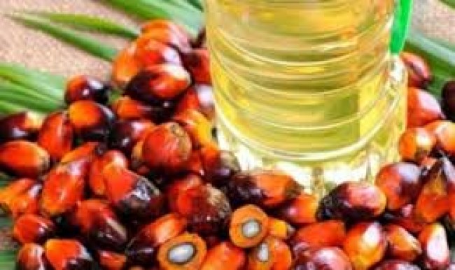 Decreasing Income, Nigeria Limits Palm Oil Imports