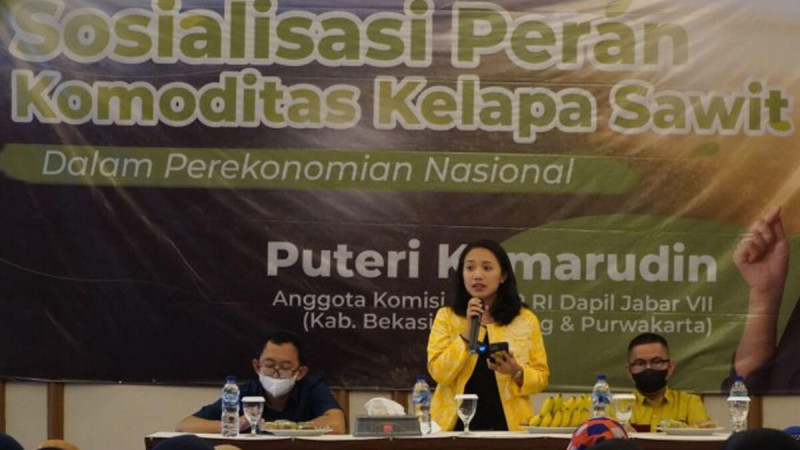 Politician of Golkar: Palm Oil Has Many Advantages
