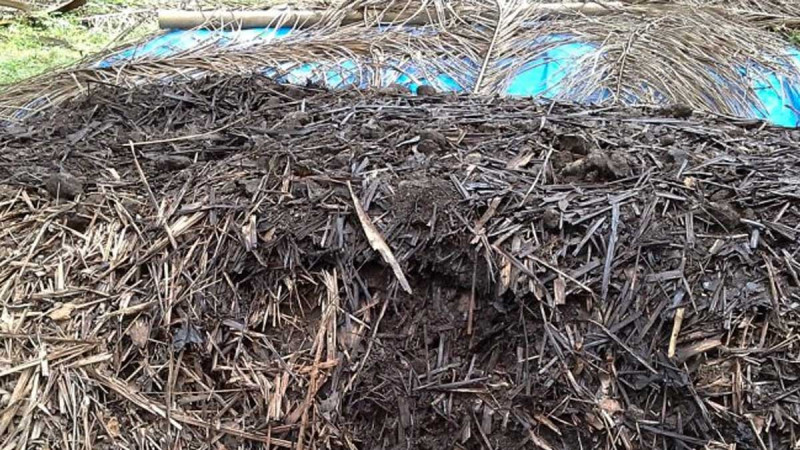 Students of Vocational School in Kampar Processed Palm Oil Waste to be High Quality Compost