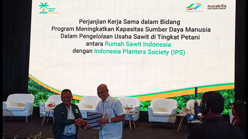 To Develop Palm Oil Sector, RSI Takes IPS to Escalate Palm Oil Human Resources