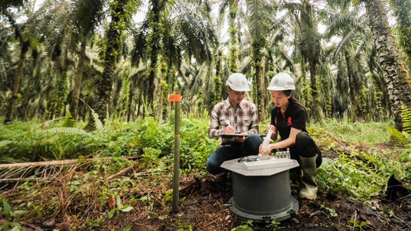 Sinar Mas Agribusiness and Food 2024 Scholarship is Now Available