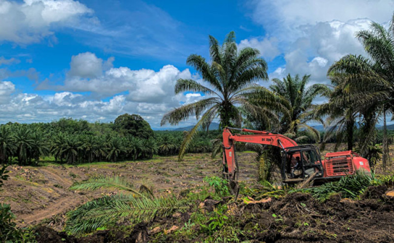 SRP in South Sumatera Covered 69 Thousand Hectares