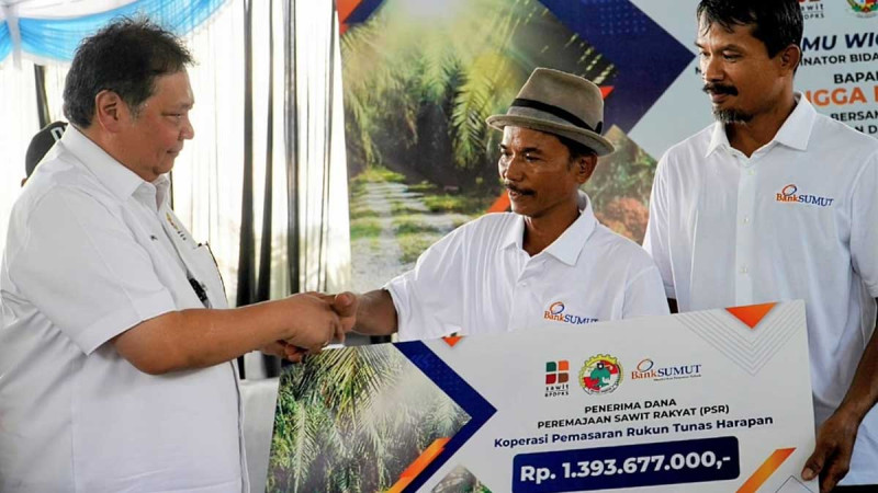 Airlangga: SRP Should be the Successful Sample within Transparent Process