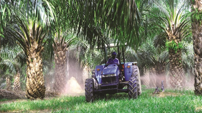 Automation and Mechanization in Palm Oil Plantations Discussed at International Food Research Conference