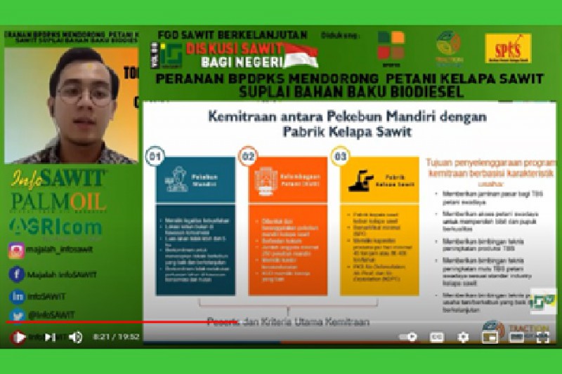 Traction Drives Oil Palm Involves Smallholders In Biodiesel Supply Chain