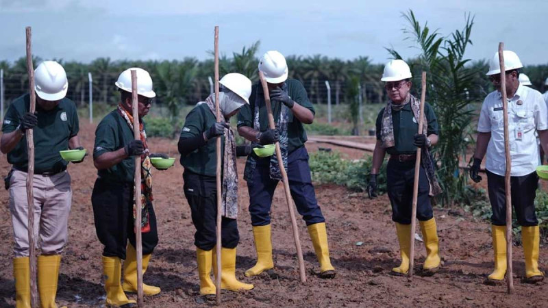 Palm Oil – Paddy Gogo Integrated Program Cooperated with Stakeholders