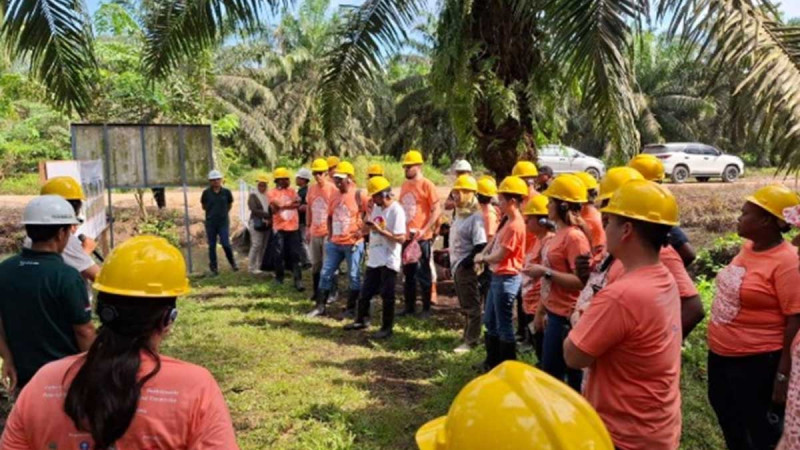 The Representatives of 17 Like-Minded Countries Learned about Sustainable Palm Oil in Regency of Siak