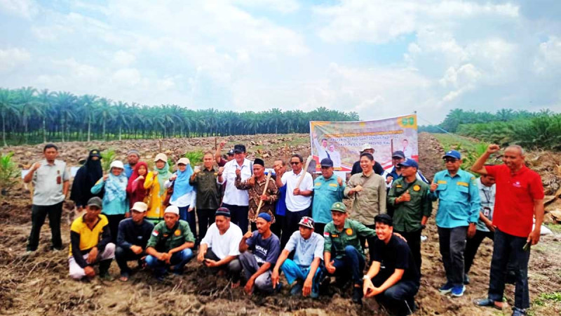 Though It Would be in Short Period, Palm Oil – Paddy Gogo Integrated Program Could Produce 1 Million Hectares, If..